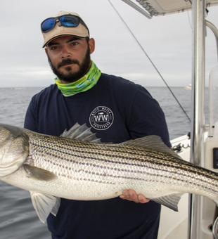 Catch of the day: Striped Bass